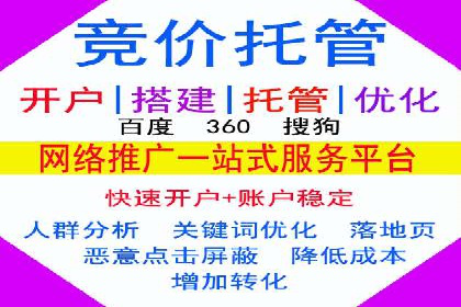 某公司信息流广告的精准投放与效果评估